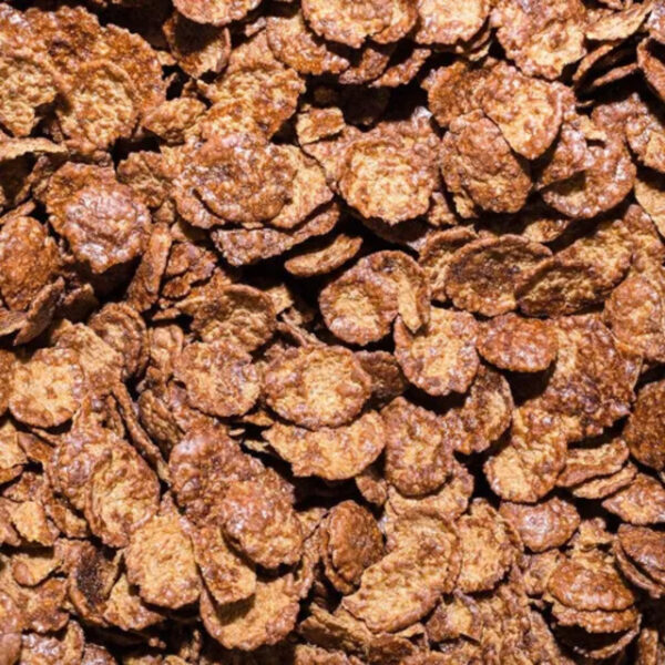 GRANIX COPOS CHOCOLATE X 100GR