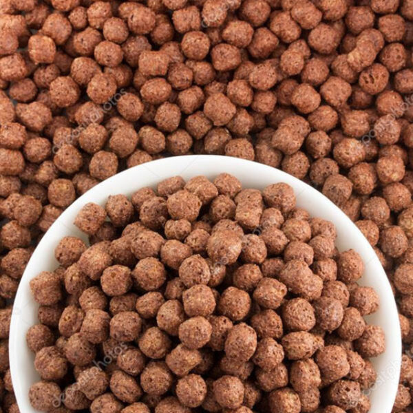 LASFOR BOLITAS DE CHOCOLATE X 100GR