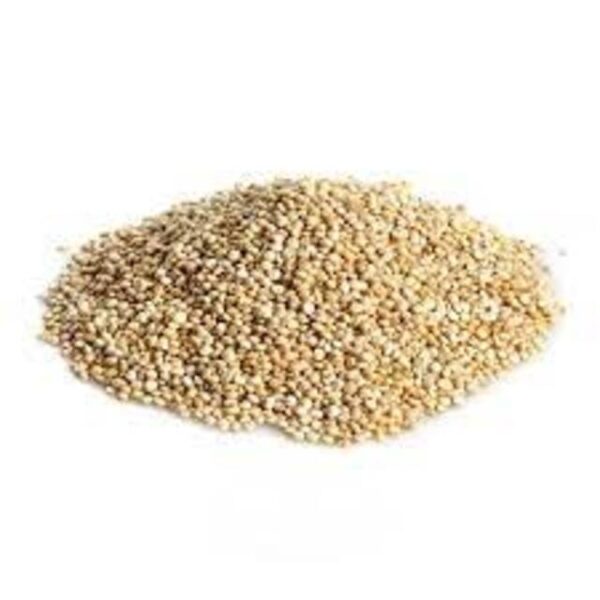SEMILLAS DE QUINOA 100GR